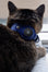Leather AirTag Cat Collar by Nine Twenty Eight™ Nine Twenty Eight