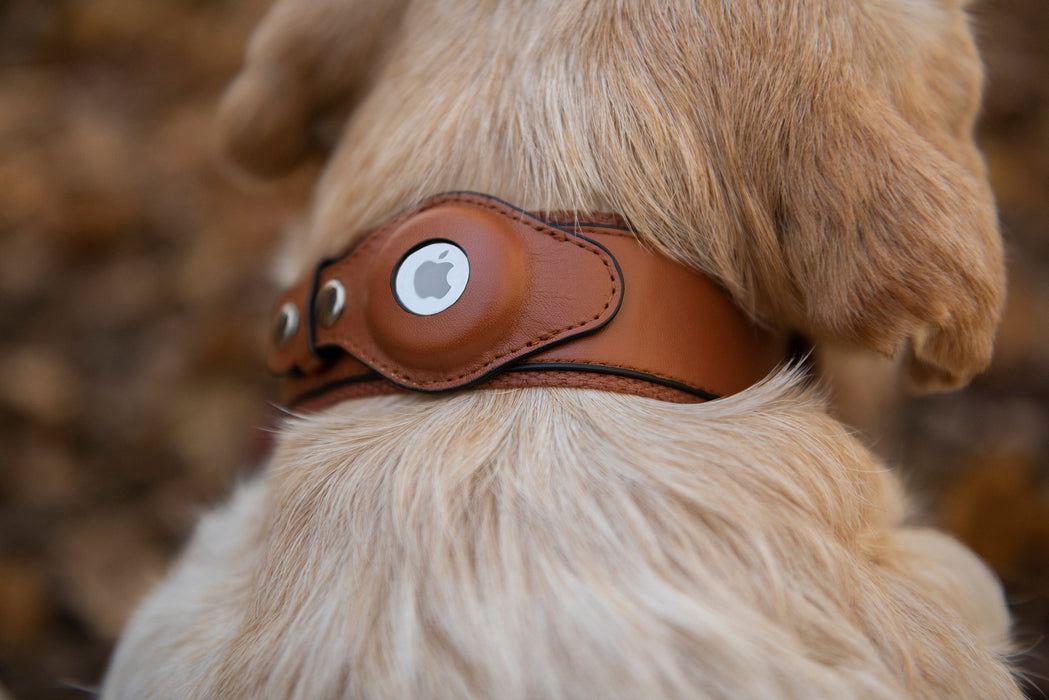 Faux Leather Apple AirTag Dog Collar by Nine Twenty Eight™