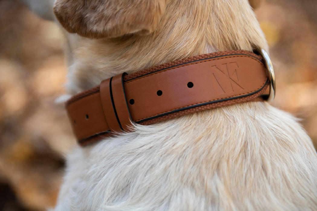 Premium Leather & Vegan Leather Apple AirTag Dog Collar All In One