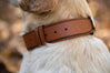 Nine Twenty Eight™ Personalized Faux Leather Apple AirTag Dog Collar