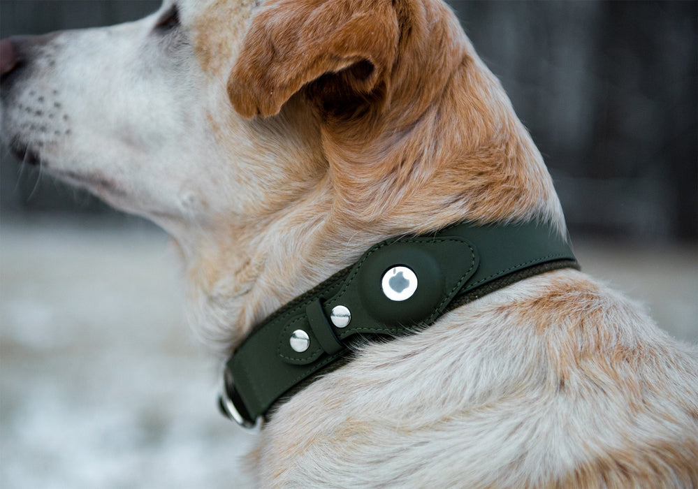 Personalizable Faux Leather Apple AirTag Dog Collar by Nine Twenty Eight™  Leather, Faux Leather and Premium Collar Option Available for Pets 