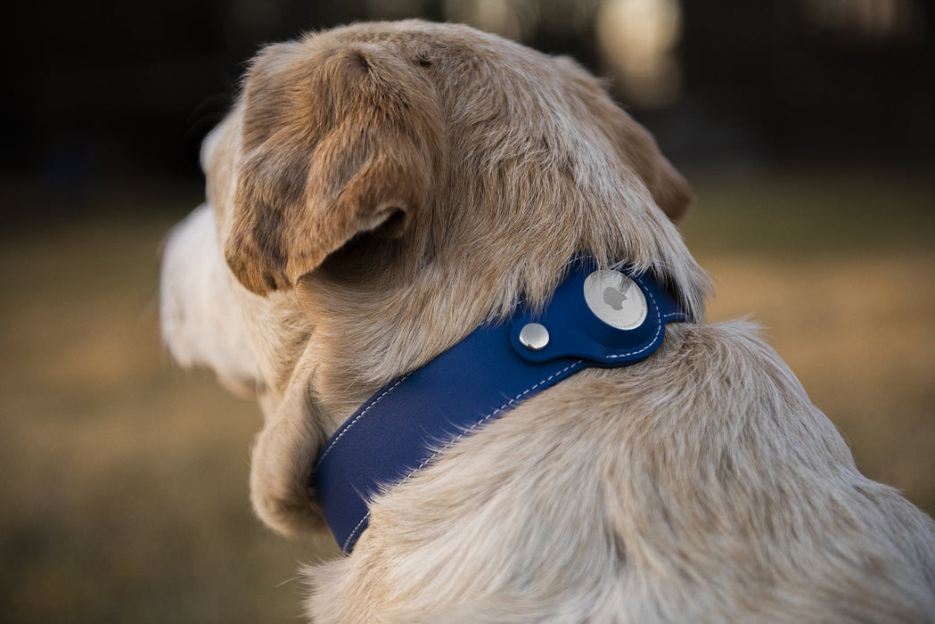 Nine Twenty Eight™ Faux Leather Apple AirTag Small Dog Collar