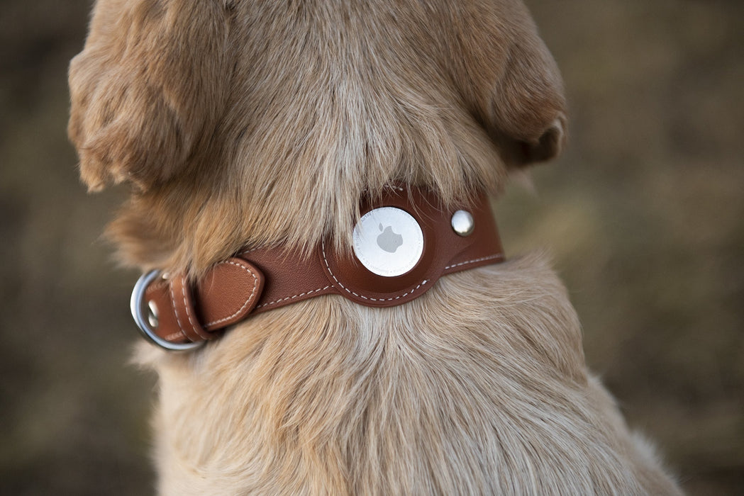 Premium personalized Airtag dog collar nine twenty eight  inc