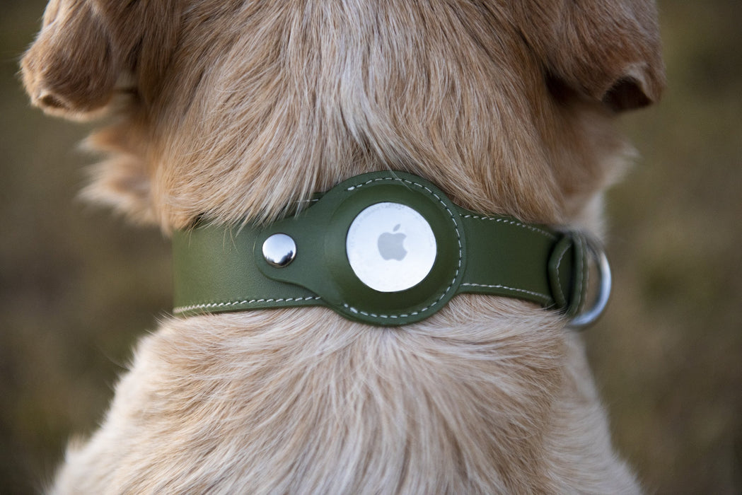 Nine Twenty Eight™ XS/ Small Premium Leather Apple Airtag Dog Collar