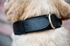 Leather AirTag Dog Collar Black
