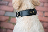 Leather Airtag Dog Collar Black