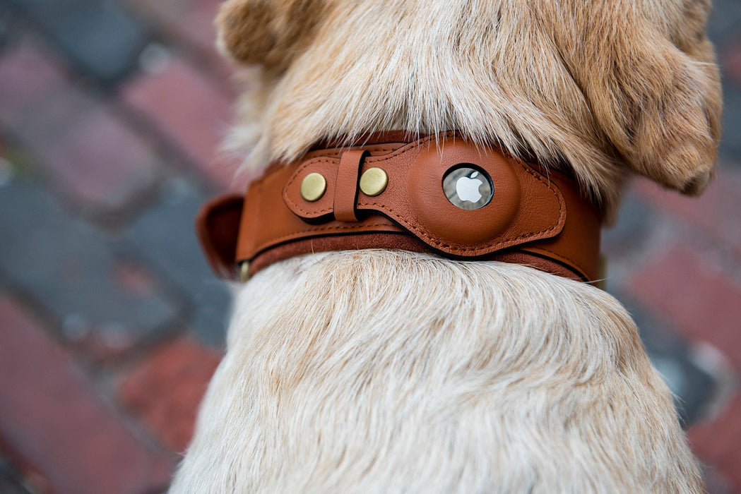 Personalized AirTag Dog Collar, AirTag Dog Collar, AirTag Collar