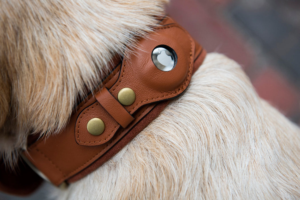 Leather Apple Airtag Dog Collar Brown