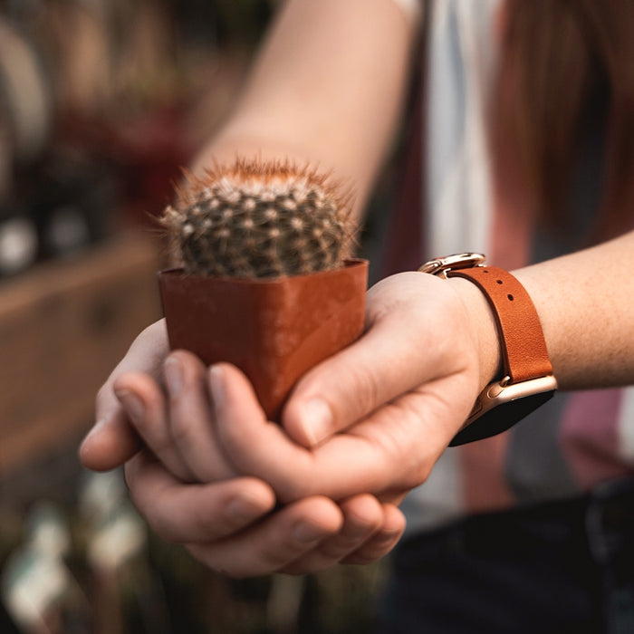 Monowear Depolyant Reserve Leather Apple Watch Band