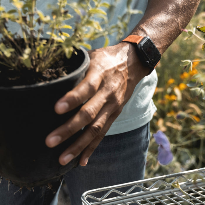 Monowear Depolyant Reserve Leather Apple Watch Band